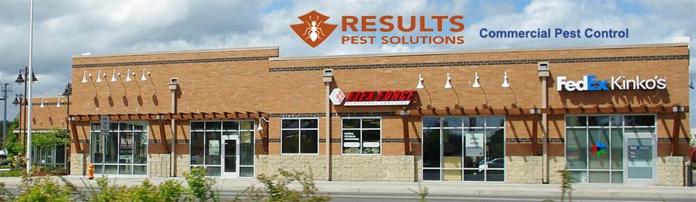 Commercial Pest Control