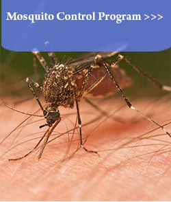 Mosquito Services