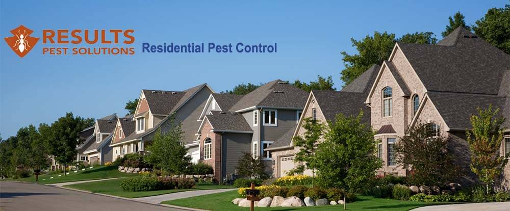 Residential Pest Control 