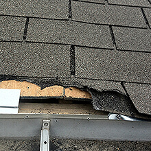 Results Pest Control roof damage 1