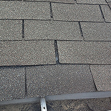 Results Pest Control roof repair