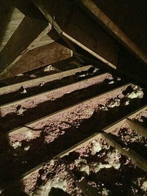 Attic Before insullation