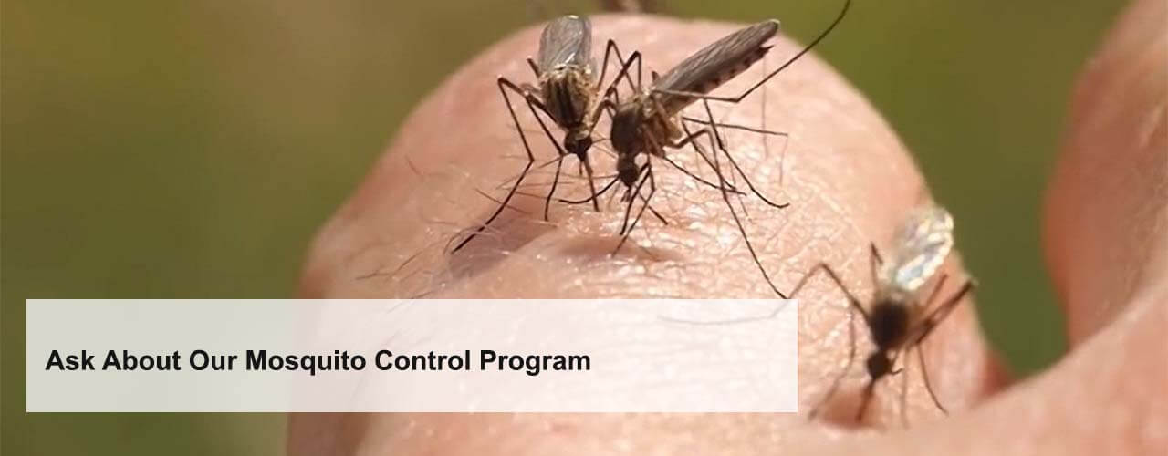 Ask about Mosquito Control